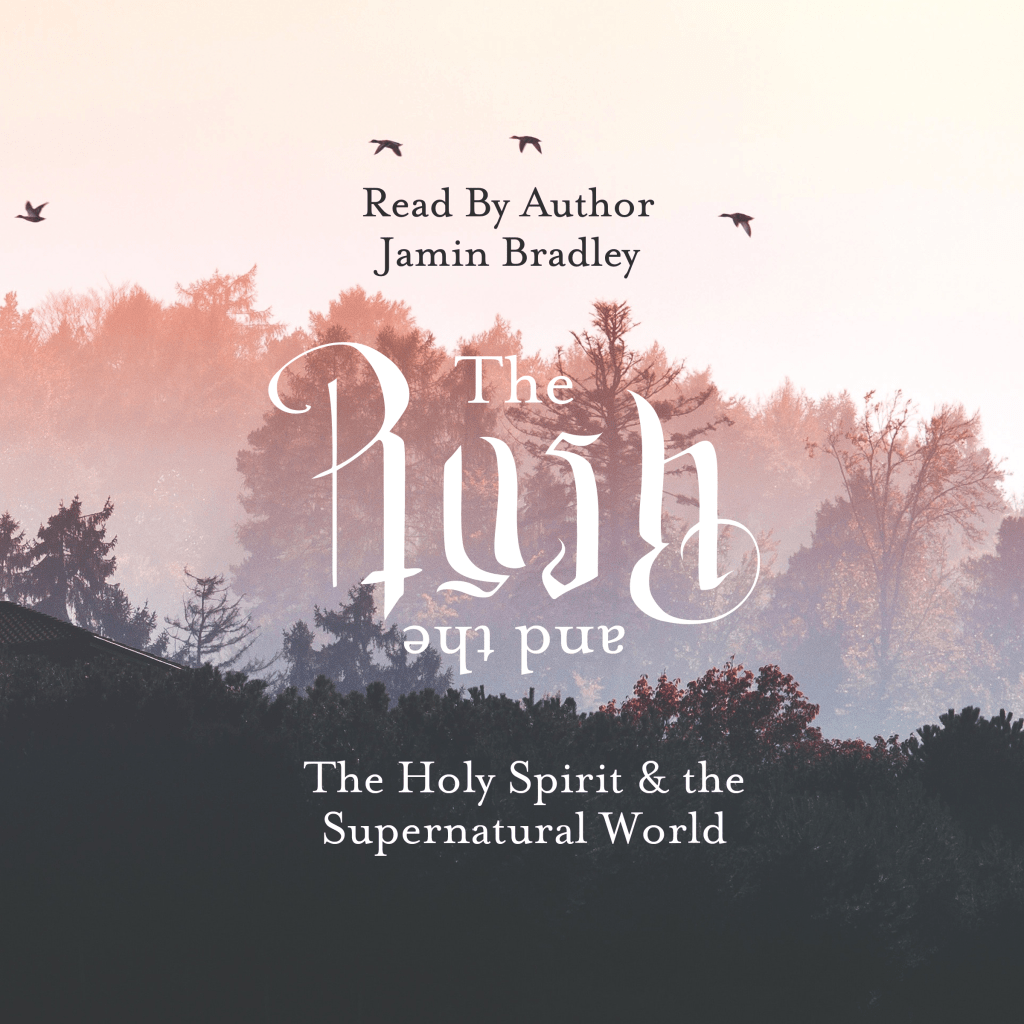 New Review on The Rush & the&nbsp;Rest