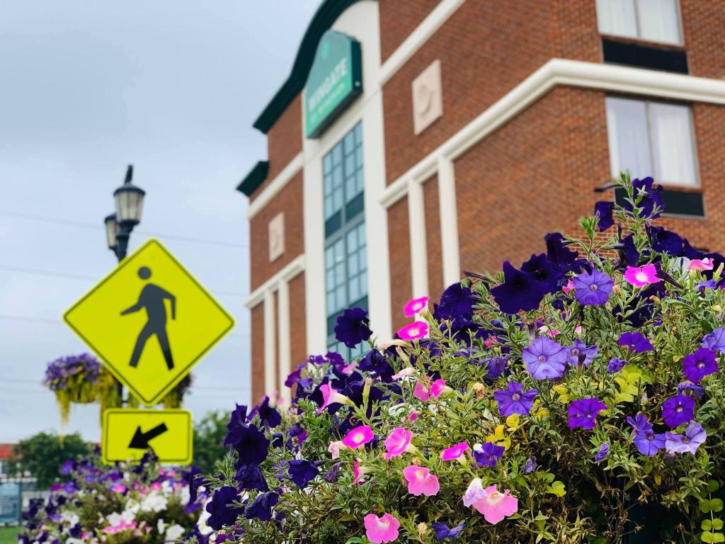 Crossroads Sylvania Launches in&nbsp;Hotel