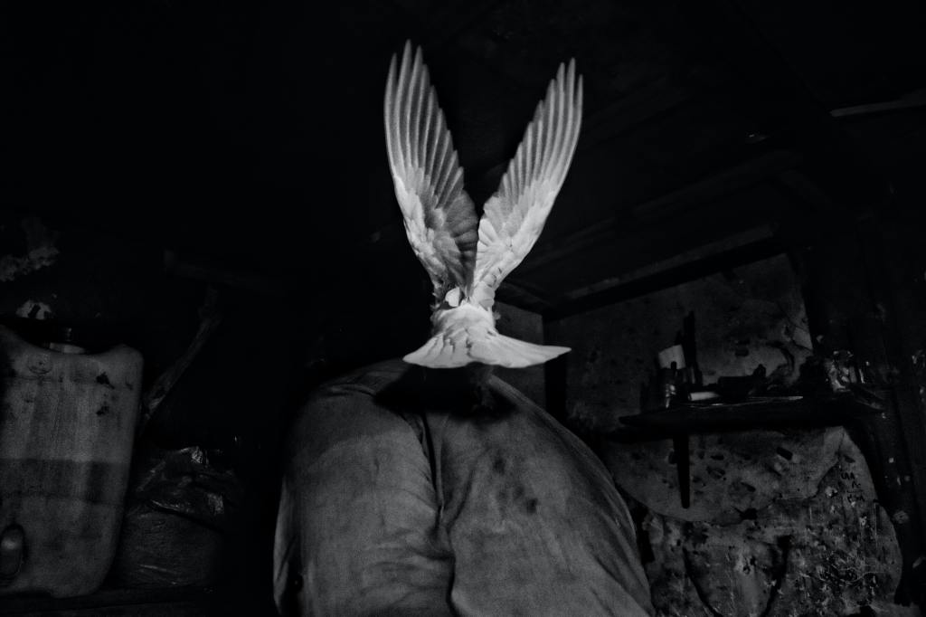 What Does the Holy Spirit&nbsp;Do?