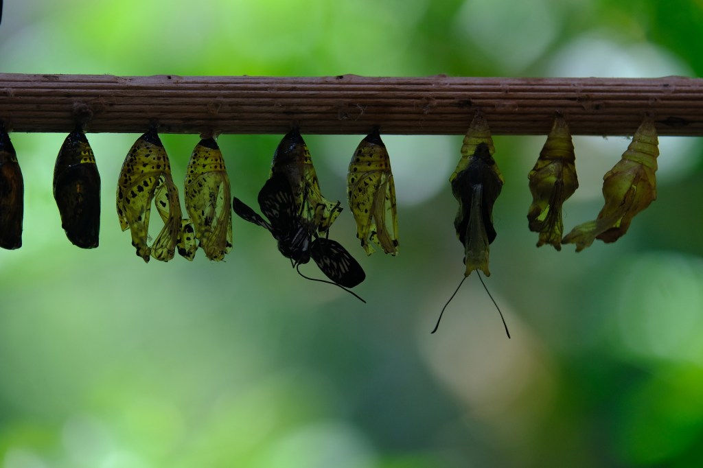 The Already But Not Yet of&nbsp;Resurrection