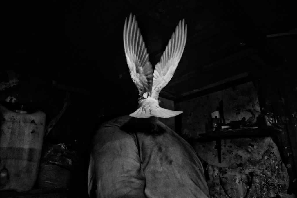 An Emergency Exorcism